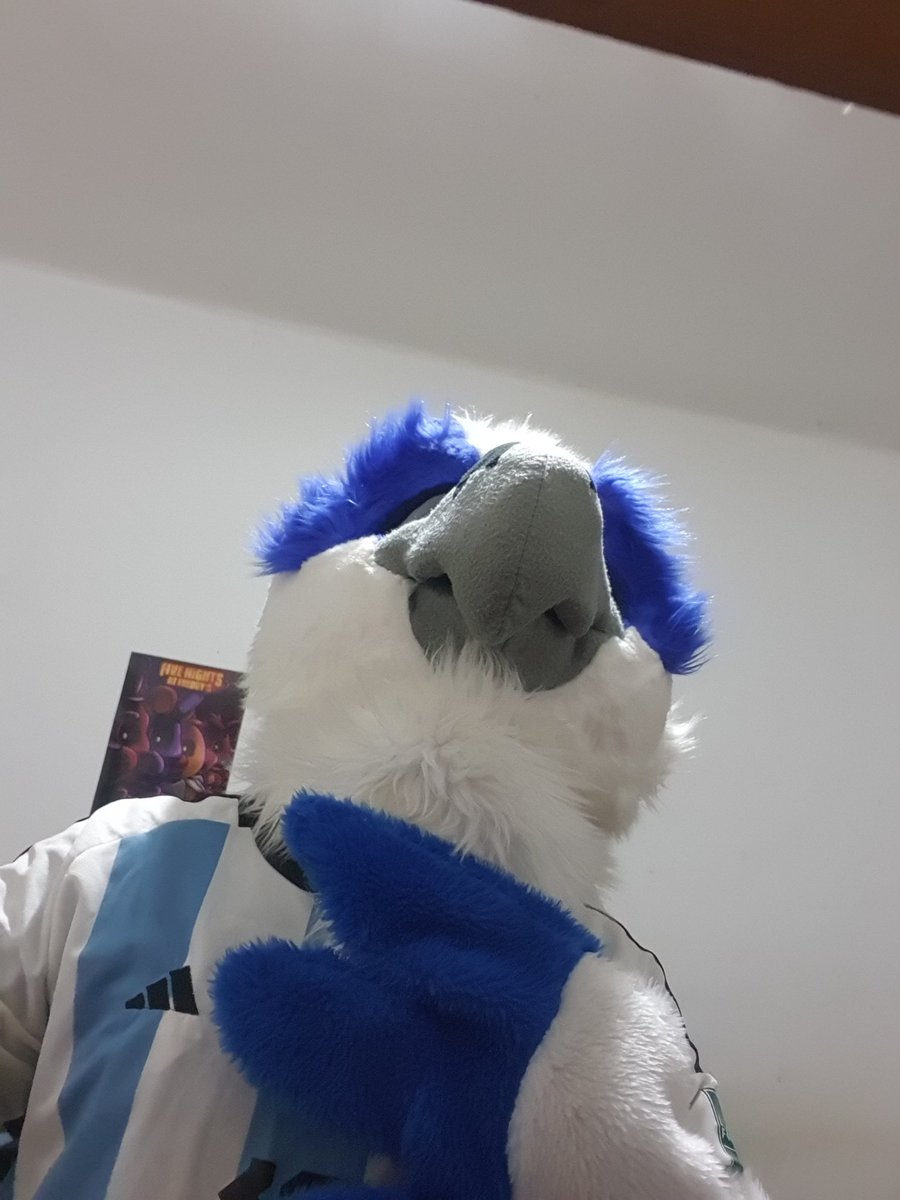 DrackMatthewSpi's tweet photo. UNA LOCURAAAAAAA!!! VAMOOOOS A LA FINAL!!! #ARGENTINA #argentinafinalista #furry #guacamayo #mipais https://t.co/rcaVByfdNH