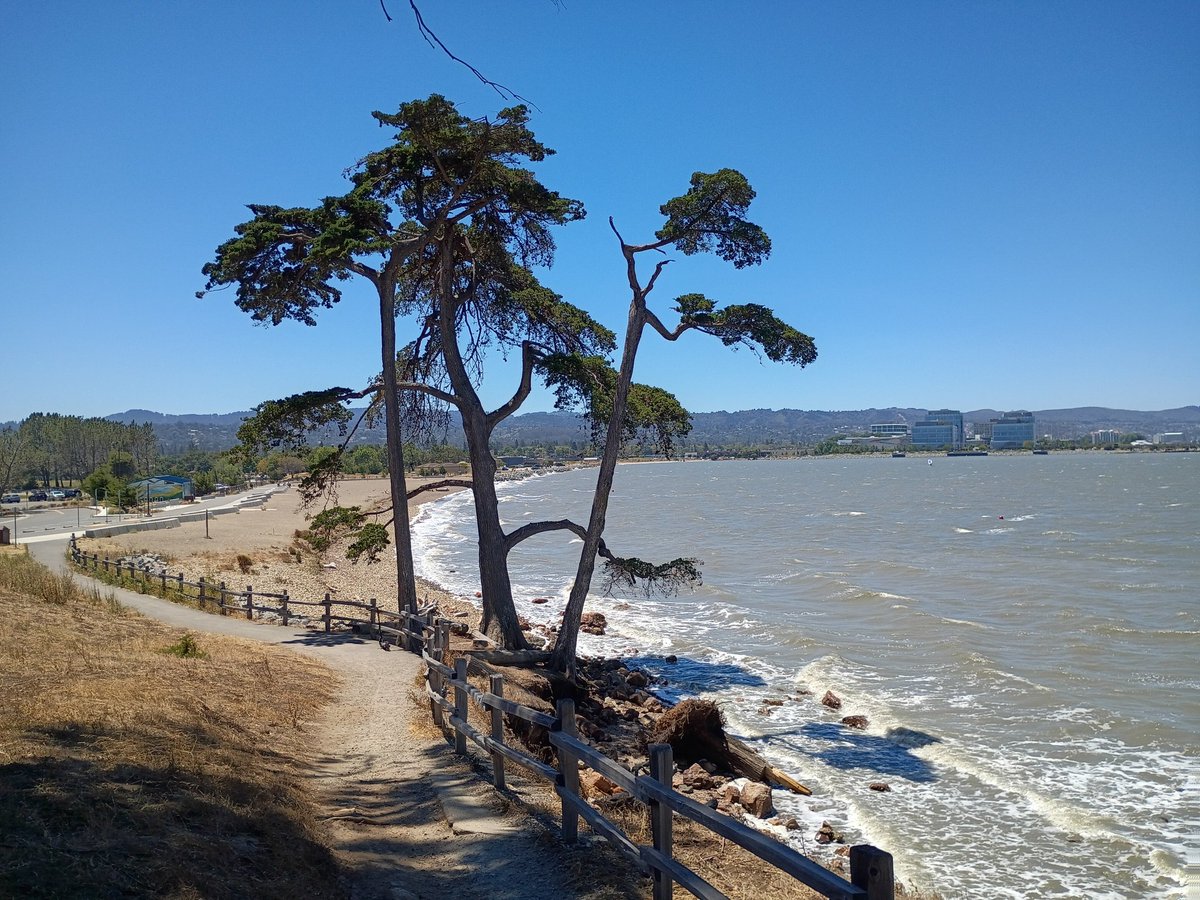 StephenMilli650's tweet photo. Sunny day ☀️ in San Mateo, California https://t.co/deni6vojtr