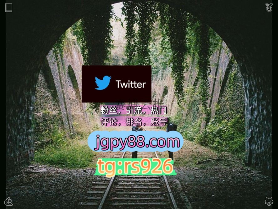 gsr____'s tweet photo. 推特软件教育类儿童玩具；提供热门账号、粉丝号及上门代办推特账号服务；提供推特脚本及外贸相关服务；覆盖郑州、洛阳、新乡、南阳、许昌等地的高质量账号。 https://t.co/heWycSk1pa