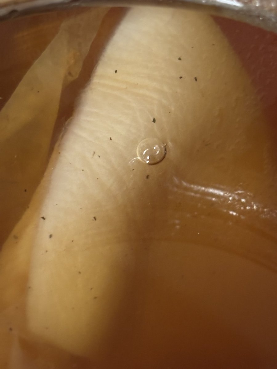 MA999OT's tweet photo. Brewing. You can not tell me that this isn’t skin. https://t.co/bLoZp6nNQj