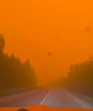 TheBuckYouWill's tweet photo. THE SCENE IN NORTHERN ONTARIO TODAY!!

Imagine spraying flammable glysophate over the boreal forest would make the province go up in flames??

WELL FUCK, WHO COULD HAVE SEEN THAT ONE COMING??

🥴🥴🥴🥴🥴