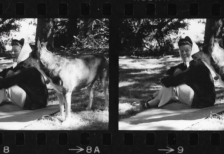 heparchive's tweet photo. katharine hepburn with lobo, the dog she shared with spencer tracy, in 1969 by frank diernhammer https://t.co/h7wDFLC9nm
