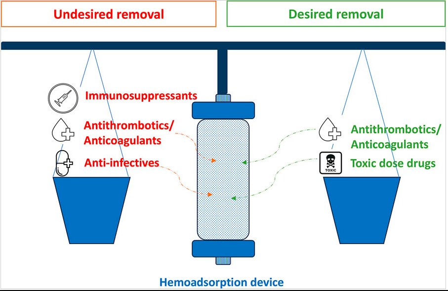 CritCareReviews's tweet photo. Drug Removal by Hemoadsorption

CCR Journal Watch
https://t.co/Sp06oA6IDG https://t.co/YMCdBatBJe