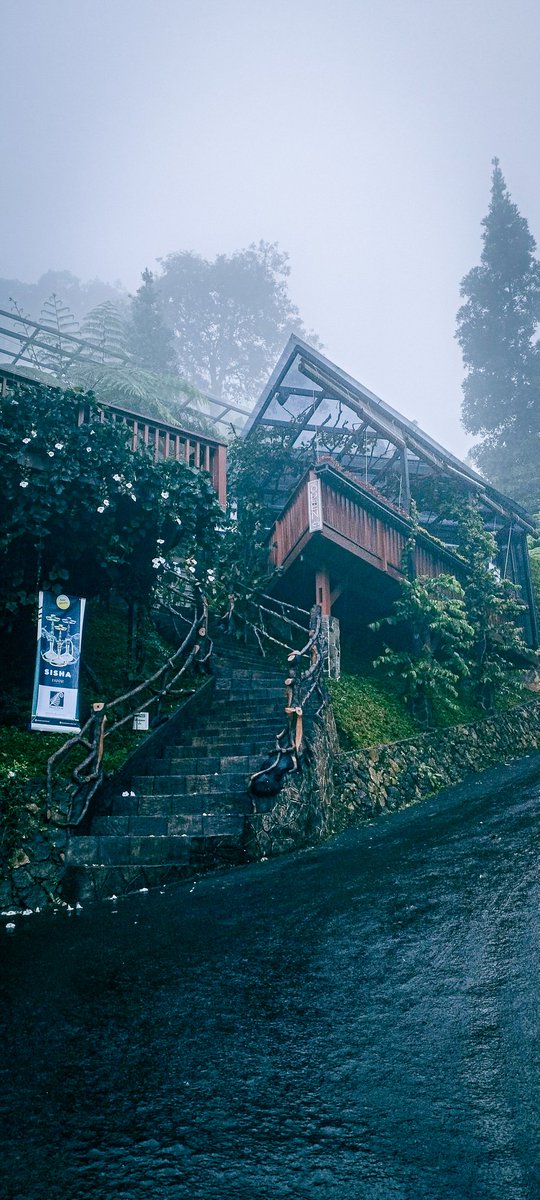 Centrionz's tweet photo. edit : lightroom
#photography #fog #ghost https://t.co/hhrFzzbktx