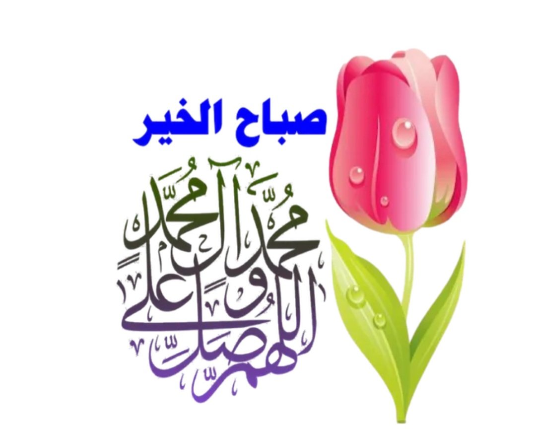 rsvSXGjma1fPttA's tweet photo. @awatefh1 @_libanEM_Ahmad @talaathedia https://t.co/jzeIer8XTX