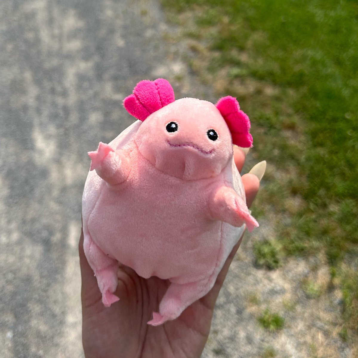 💙 I, Nico ❤️ 𝒾𝒸𝑒𝒸𝓇𝑒𝒶𝓂𝓏 𝓂𝑜𝓃𝓉𝒽 🍦 tweet media