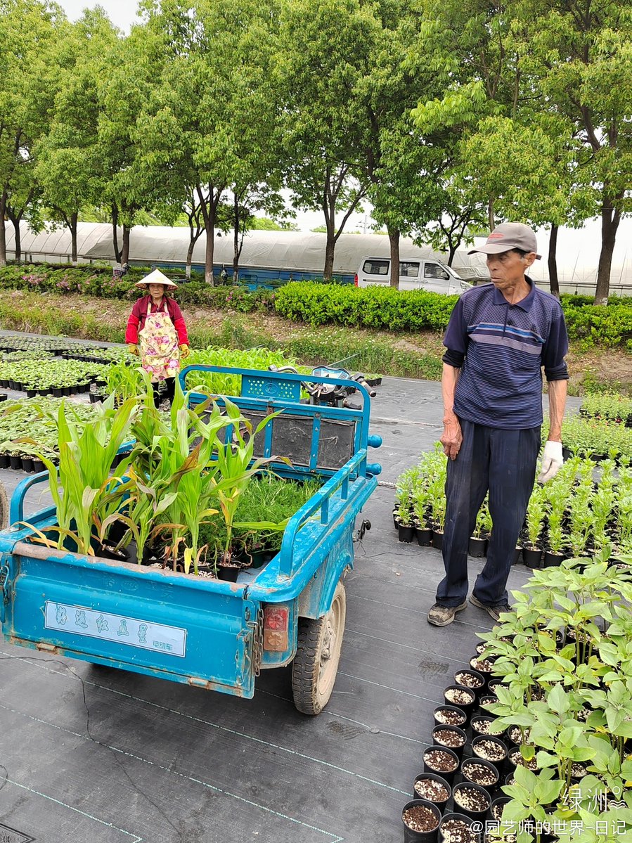OyswsgAGVbcvP2I's tweet photo. [Join our Saturday Community Garden Day! Plant veggies, meet neighbors, and grab free snacks — everyone’s welcome!]， https://t.co/eIy2VMU7Ls
