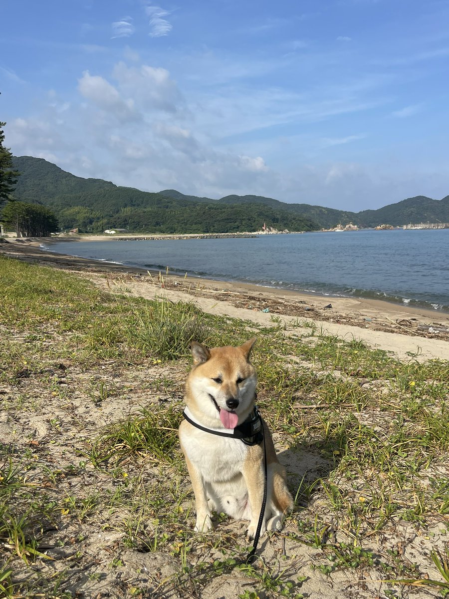kote2wolflike1's tweet photo. 今日の萩市の海でした。中継をを終わります。 https://t.co/fgclvjQ5IX