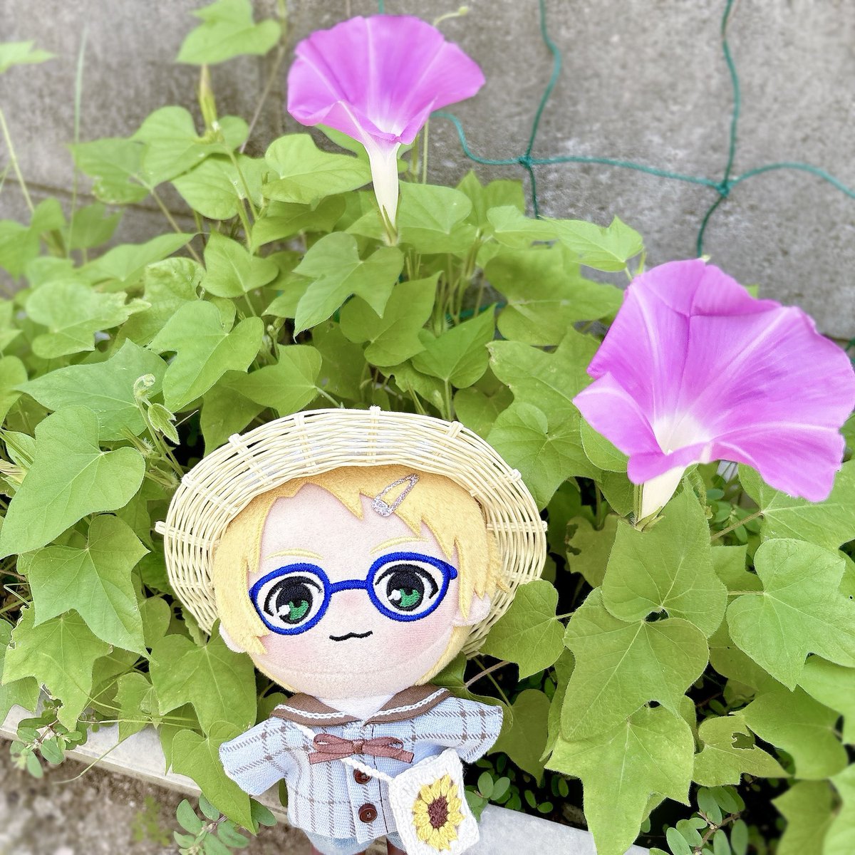 🐥「おはよう🌼」