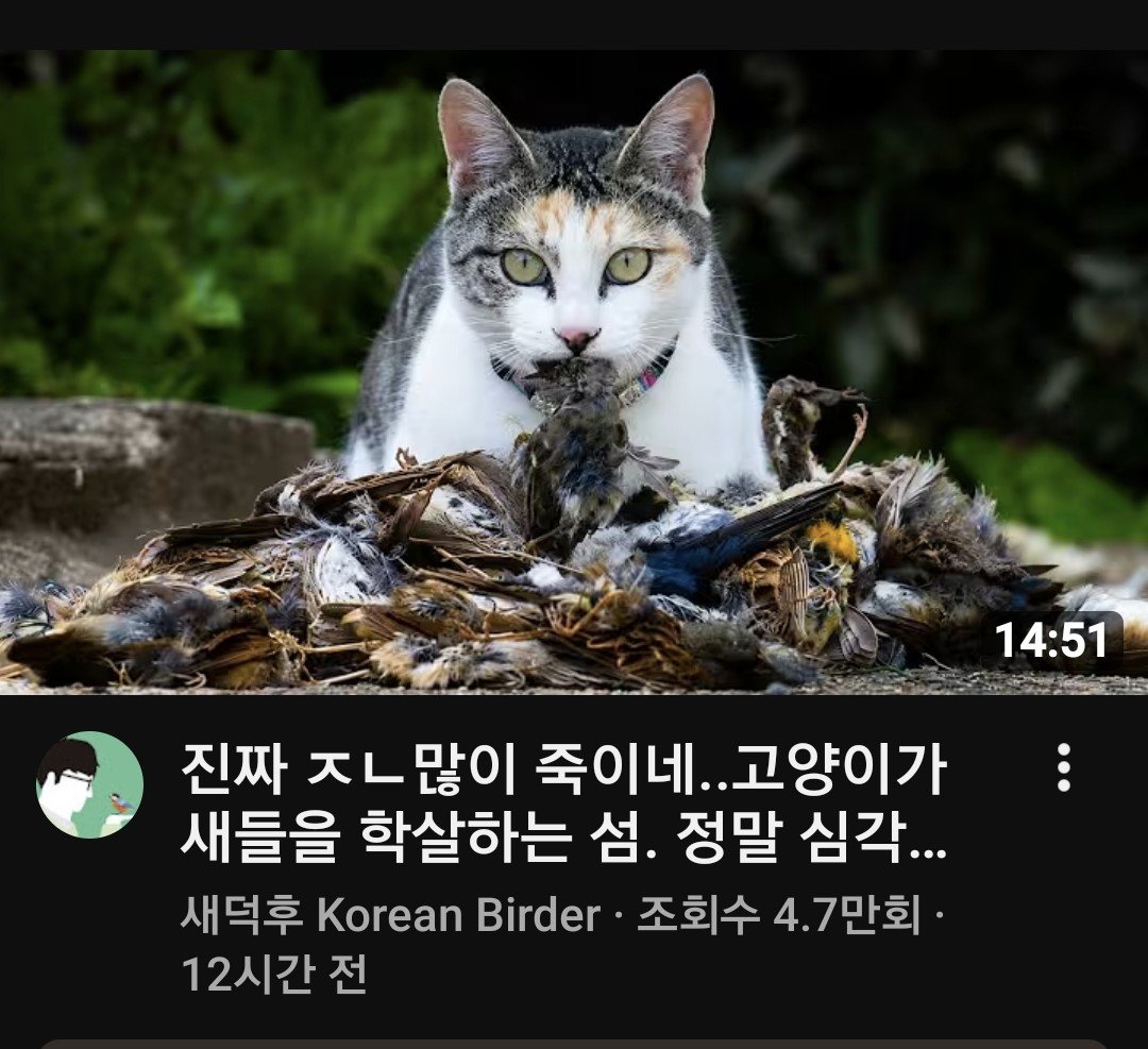 yuwisk's tweet photo. 😰 또 영상 올림....제정신인가... https://t.co/a9SfLFKRXW