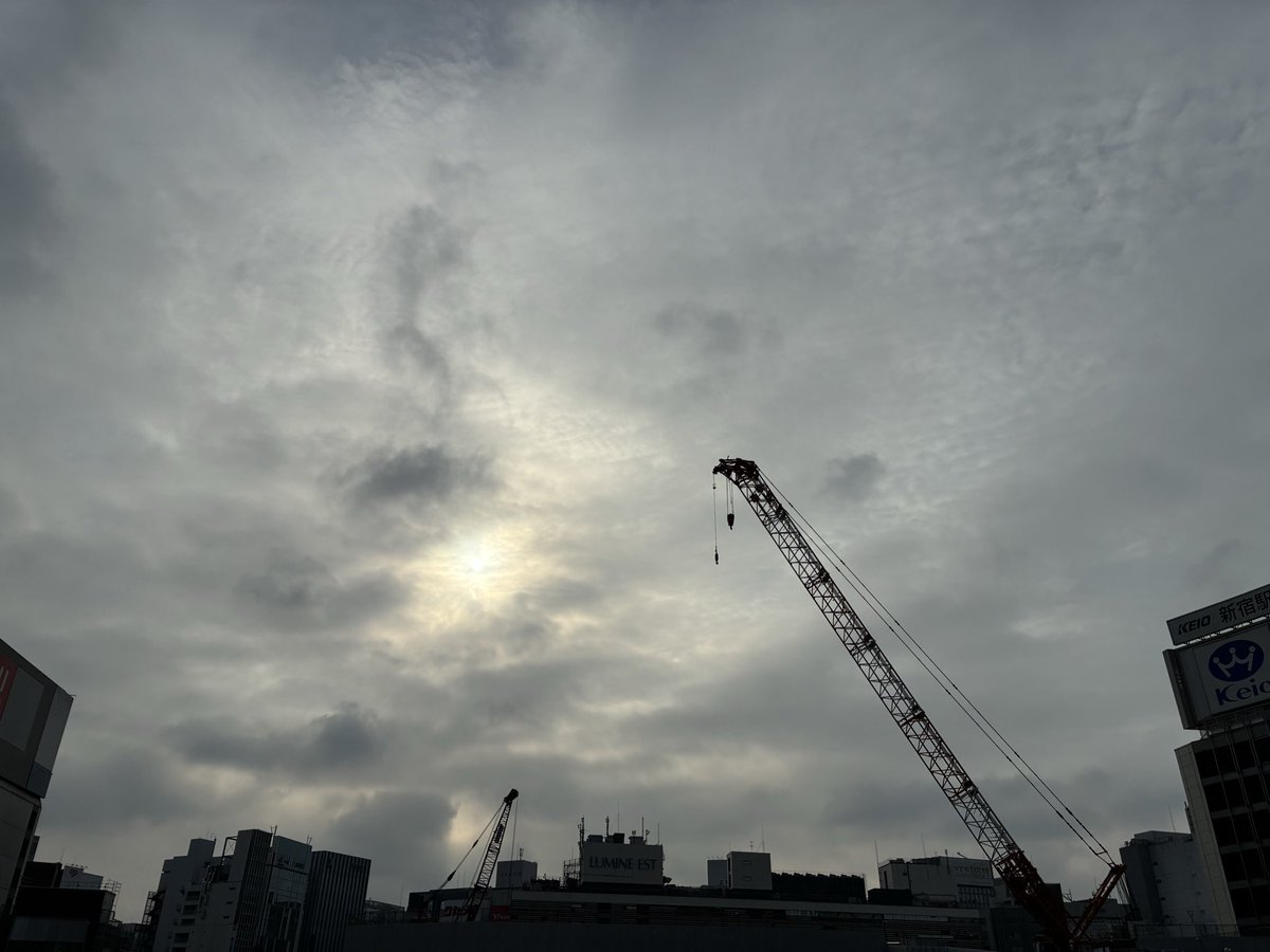 papi1972's tweet photo. おはよう新宿☀️
今日で猛暑日は一時停止のようですね。
明日は過ごしやすい程度の気温であって欲しい😅 https://t.co/WHstVQoIY4