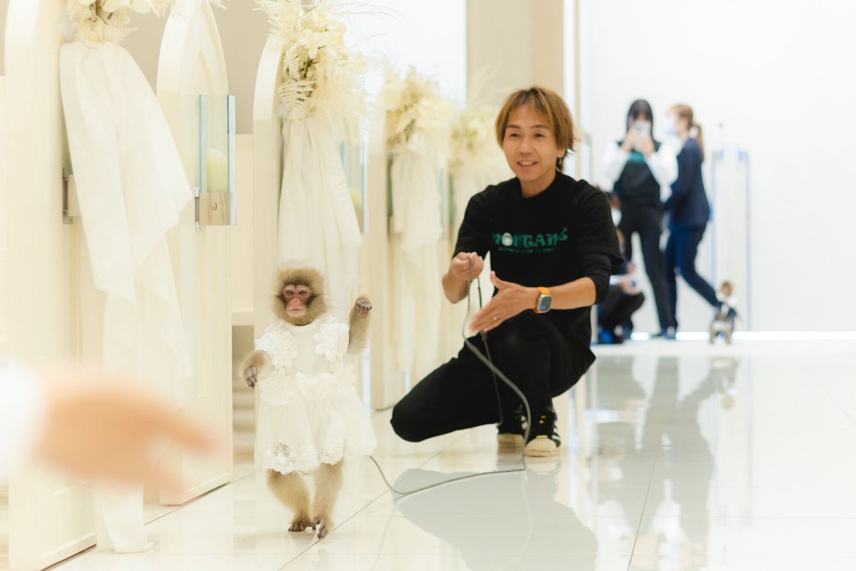 rsk_1614's tweet photo. モンキーリングかあるちゃん✨💍
持って練習できたのはリハーサルの一回のみでした💦それでも、本番は無事届けてくれました☺️ https://t.co/IYQ4nzRErW
