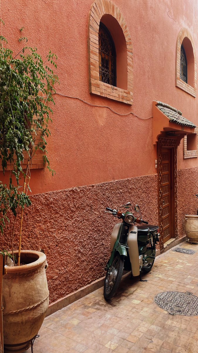 seeinpicture's tweet photo. on le trouve au Maroc https://t.co/ztsBn2TciM