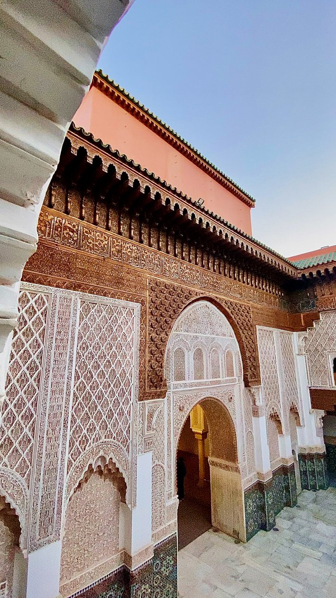 seeinpicture's tweet photo. on le trouve au Maroc https://t.co/ztsBn2TciM