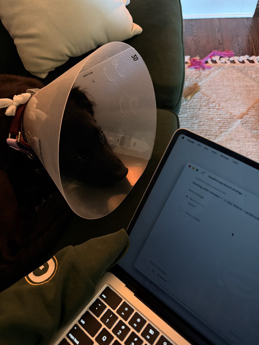 emmregal's tweet photo. She’s never had to send a prompt in her life (she’s 14 weeks old) https://t.co/QvLmZUJls4