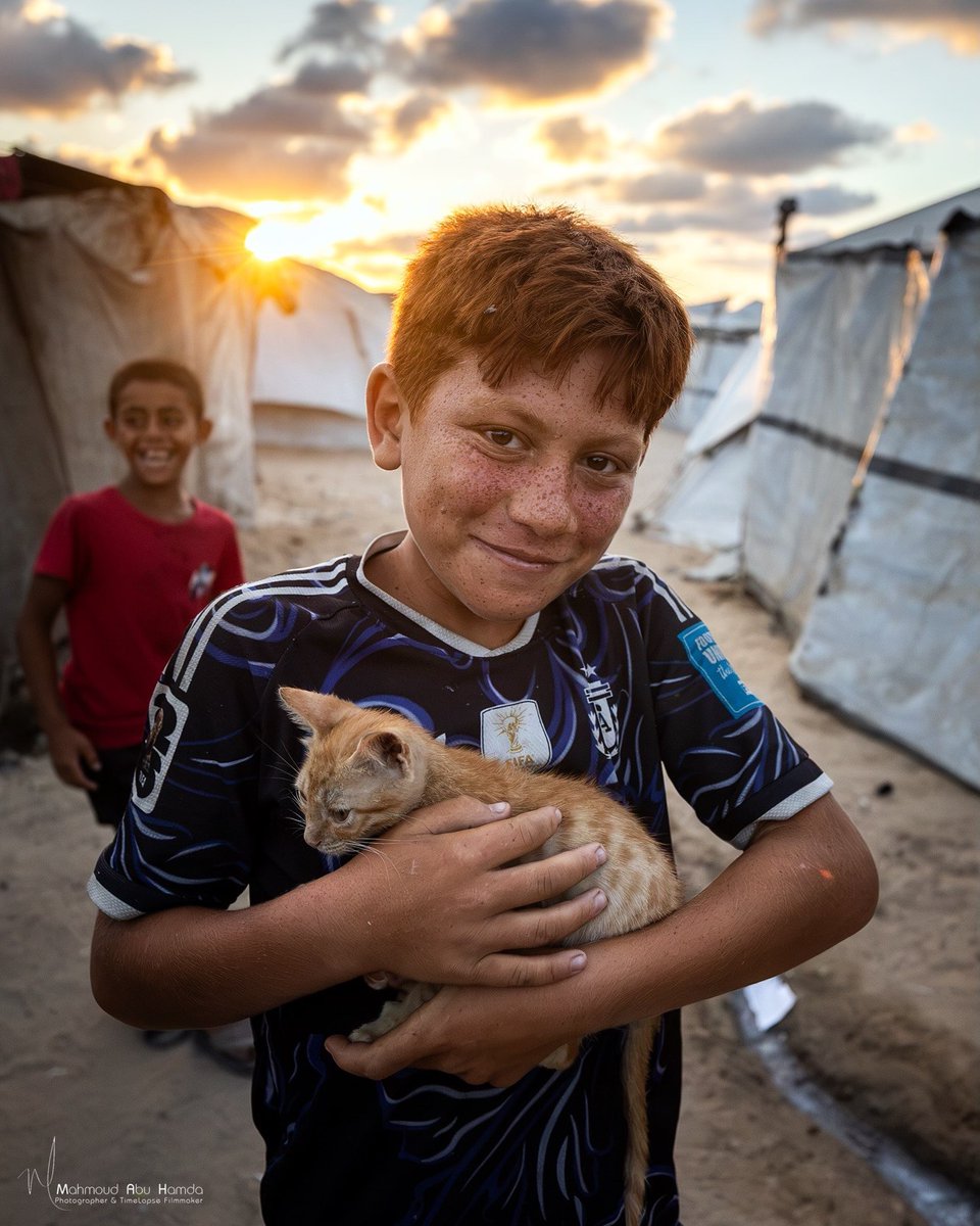 EyeonPalestine's tweet photo. In the heart of displacement and between the walls of tents, our children find a home of love and compassion in these little creatures. An undefeated innocence that reminds us that the hearts of Gaza’s children still beat with kindness, despite everything.

في قلب النزوح وبين جدران الخيام، يجد أطفالنا في هذه الكائنات الصغيرة وطناً من الحب والرحمة. براءةٌ لا تُهزم، تذكرنا أن قلوب أطفال غزة لا تزال تنبض بالرفق رغم كل شيء.