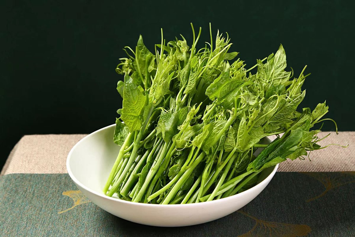 Unicell15's tweet photo. Just tried the latest organic baby spinach from local farm—crisp, earthy, zero wilt! Perfect for morning smoothies or salads. 10/10 would restock. https://t.co/6goRRw5aAy