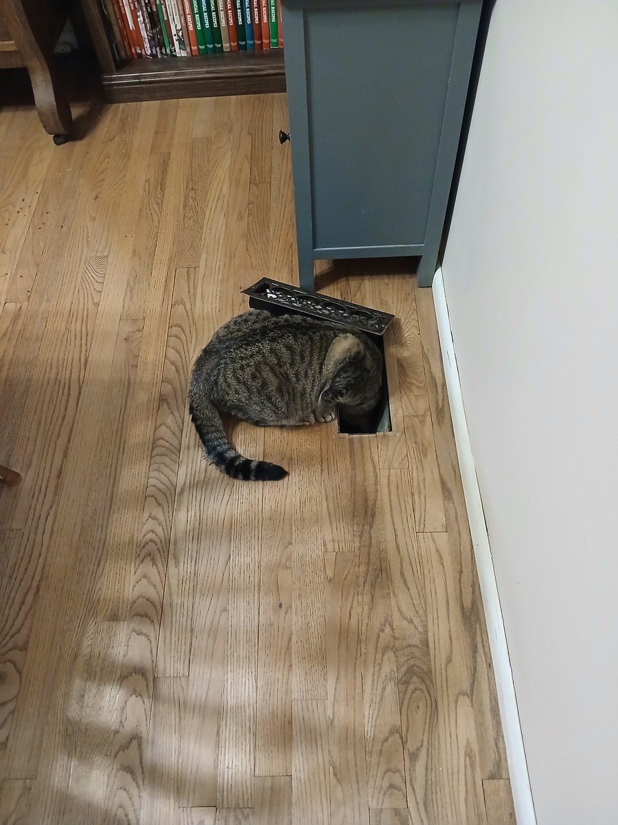 MoArGirl's tweet photo. I dropped a cat treat down the vent and Robert pulled the cover to save it. https://t.co/VUL0tdWFhC