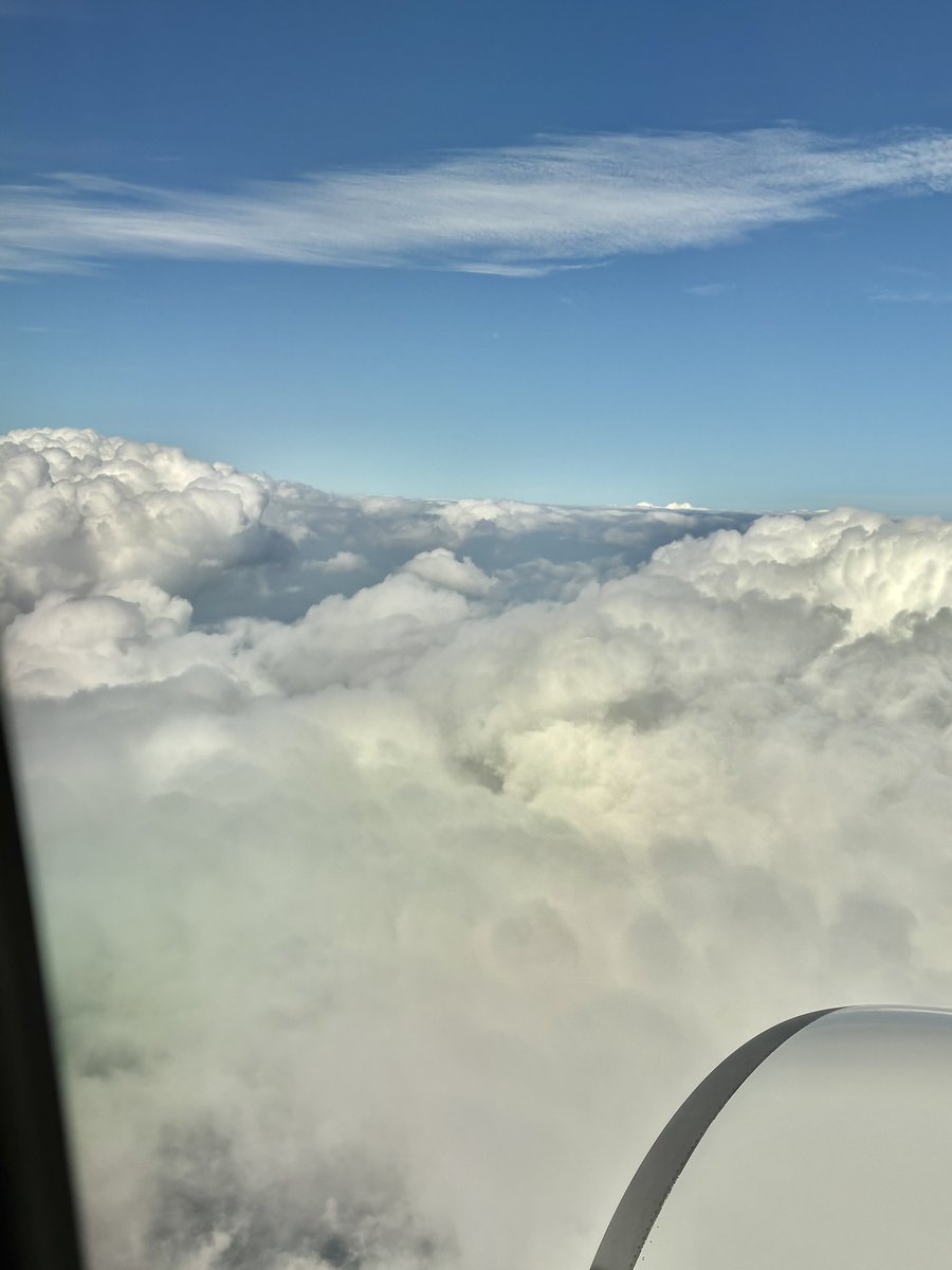 イルカ🐬雲☁が見えた✨ かわいい🩵🪽 #空