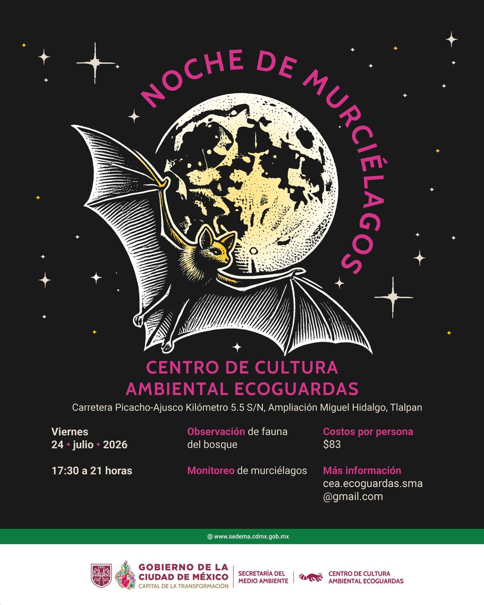 SEDEMA_CDMX's tweet photo. Descubre la importancia de los murciélagos para la conservación de nuestros ecosistemas.

Este viernes 24 de julio, de 17:30 a 21:00 h, te esperamos en el CCA Ecoguardas, para vivir la Noche de Murciélagos, una experiencia que incluye observación de fauna del bosque y monitoreo de murciélagos.

Actividad con costo.

Regístrate: https://t.co/P5TvlbUSK8