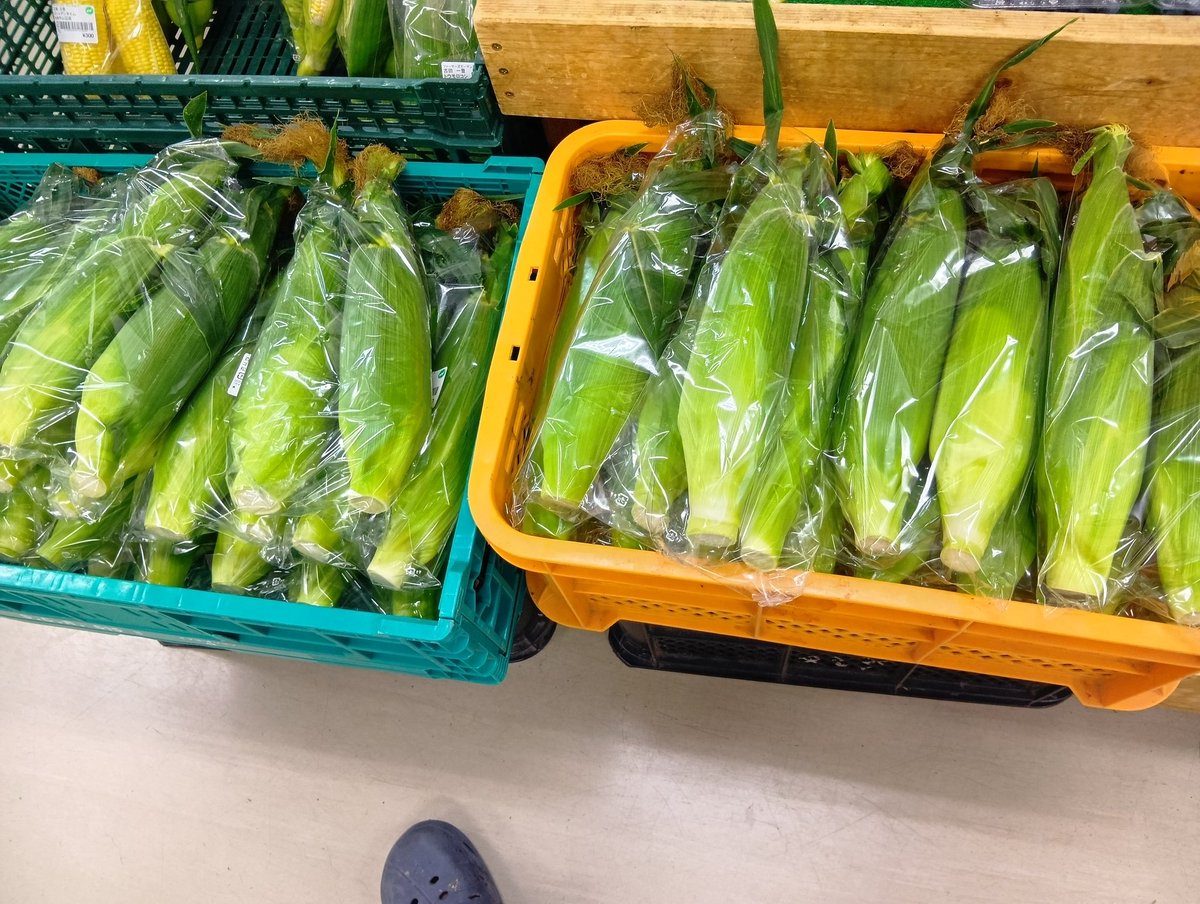 fg_yamabe's tweet photo. おはようございます。本日も桃🍑赤宝が多めに入荷しました！とうもろこし🌽、ブルーベリー🫐も多めの入荷となっております😊
#山辺ワイナリー　#農産物直売所　#ファーマーズガーデンやまべ https://t.co/GXGqYAzLVp
