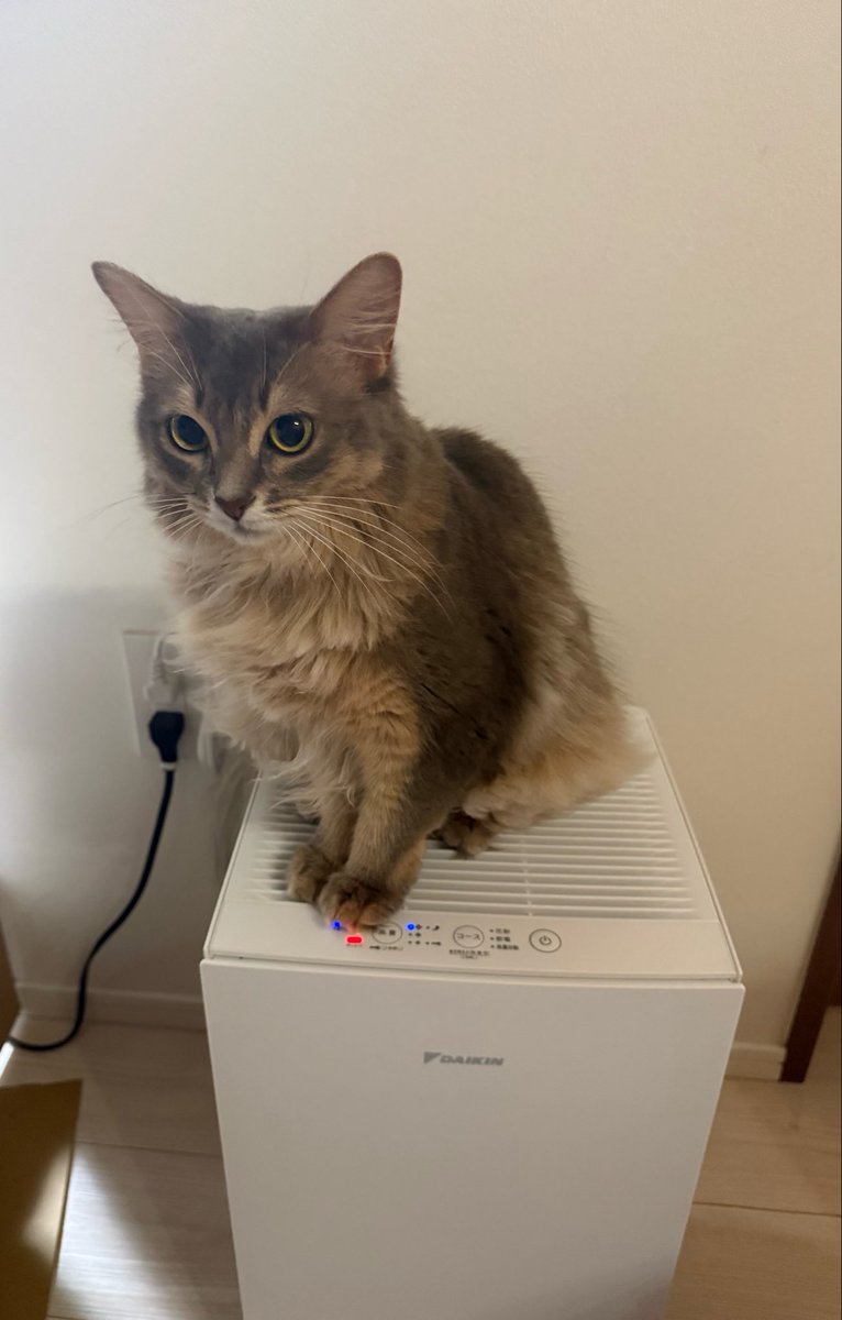 yuco1126's tweet photo. 猫毛が顔にまとわりついたりするので、遂に空気清浄機を購入したのですが、開封直後にこれ‥🐈‍⬛
ホコリが赤ランプ点灯🤣

#猫
#猫好きさんとつながりたい 
#猫の居る暮らし 
#猫と空気清浄機 https://t.co/JKpsphi2Uf
