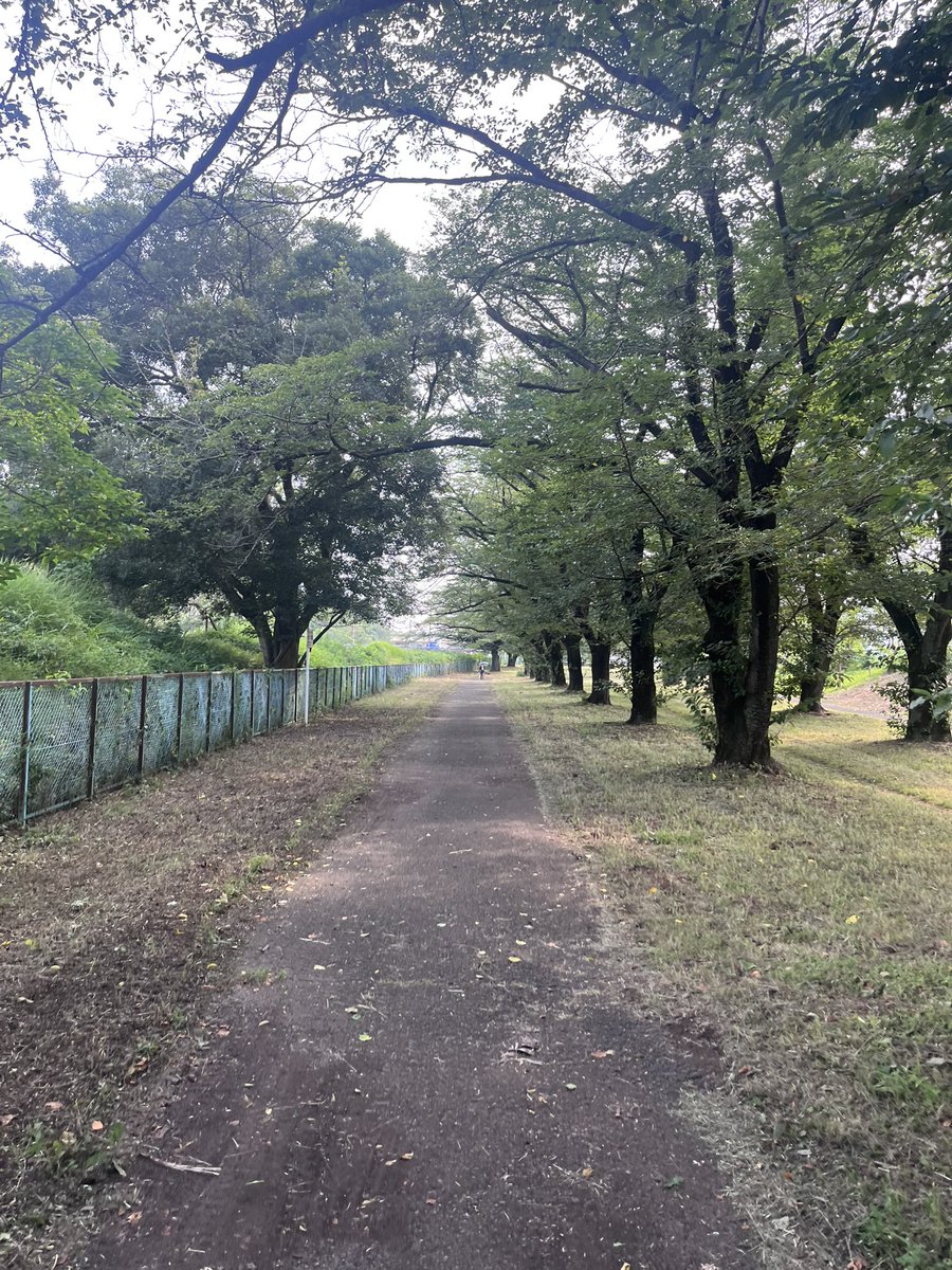 Apolloo72's tweet photo. 木曜日の朝にちょっと早起きしてテレワークのウォーミングアップ的な30分のランニング。暑い！🫠💦 https://t.co/swbWbn1D1k
