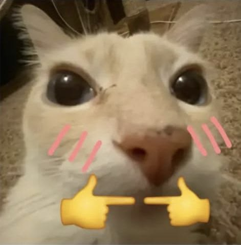 ⁎ the ᅠ𝖍anged ᅠ𝖒an. ᅠ⸸ tweet media