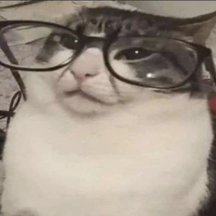 PunchingCat's tweet photo. https://t.co/fNErHx9IIE