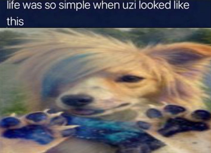 XavierBasedFan's tweet photo. im not even that mad that i'm shadowbanned now i was on a crazy run ngl https://t.co/mVJyoPgW2q