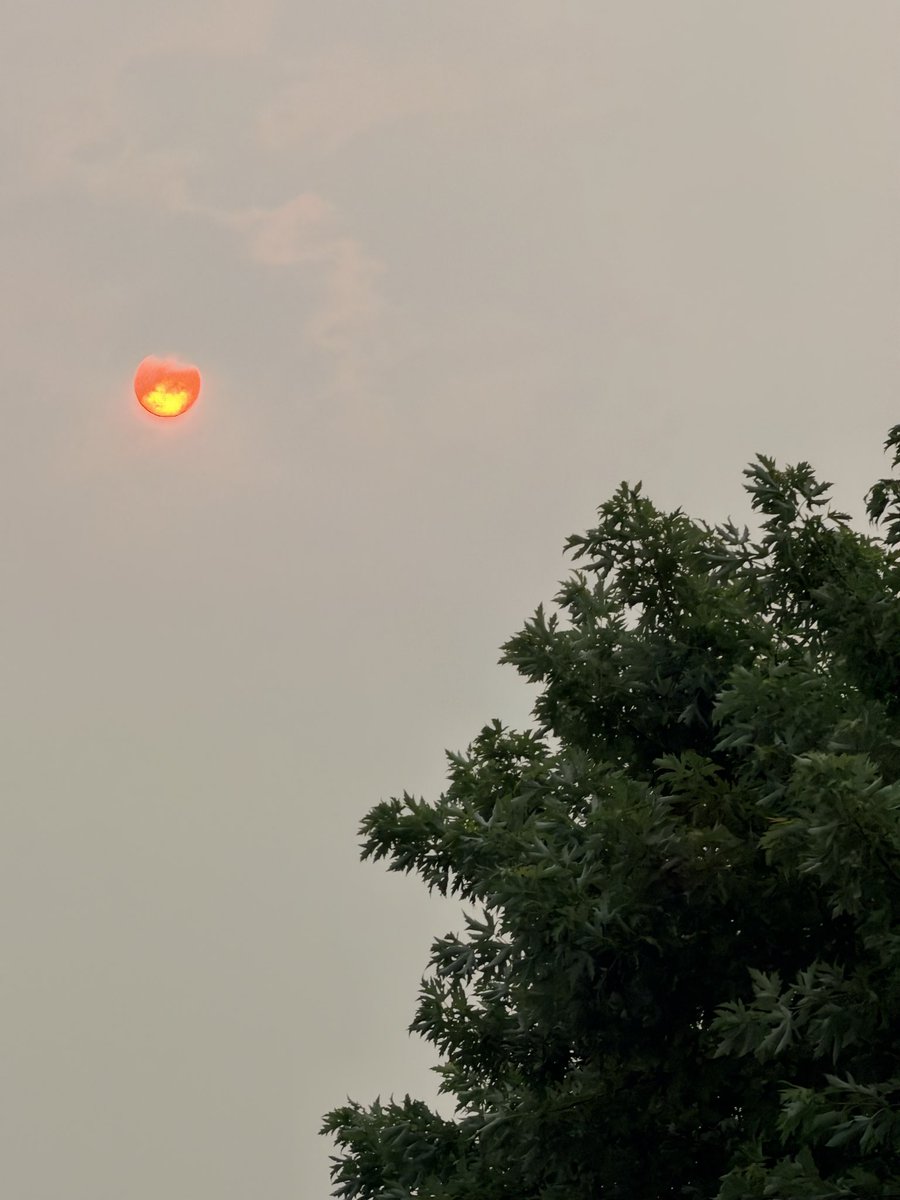 DoronHorowitz's tweet photo. @MezgAvirIL כך נראתה השמש הבוקר בטורנטו https://t.co/hXJWHyQkRI