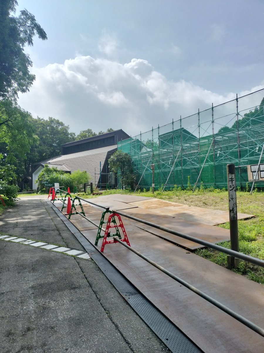 shizen_nei's tweet photo. おはようございます。現在ねいの里展示館の屋根工事の為足場が組まれています。9月頃までかかる予定ですので工事現場には立ち入らないようにご注意ください。⚠️展示館は通常開園しております、ご不便おかけしますがよろしくお願いします。🦉#ねいの里 https://t.co/I1XdfQ1HTT