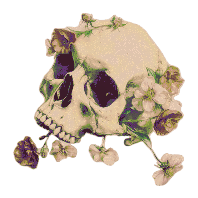 xvelf__'s tweet photo. *⠀🧝‍♀️ ﹑ 𝗅𝗂𝗀𝔥𝗍    ᵒ𝔣    𝗍𝗁ᥱ   ...
       ﹙ #ᅠℛᥱ𝚟𝗈𝑙𝗎𝗍𝗂𝗈𝗇 ﹚ 、
         .ᅠ﹙ ... ﹚    ﹠     𝗍𝗋͟𝗎͟𝗌𝗍 https://t.co/Zpt85BeJ6r