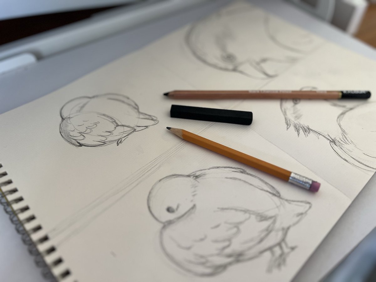 KampinKel's tweet photo. Birds and Charcoal #wip https://t.co/dBSSGRJ3hG
