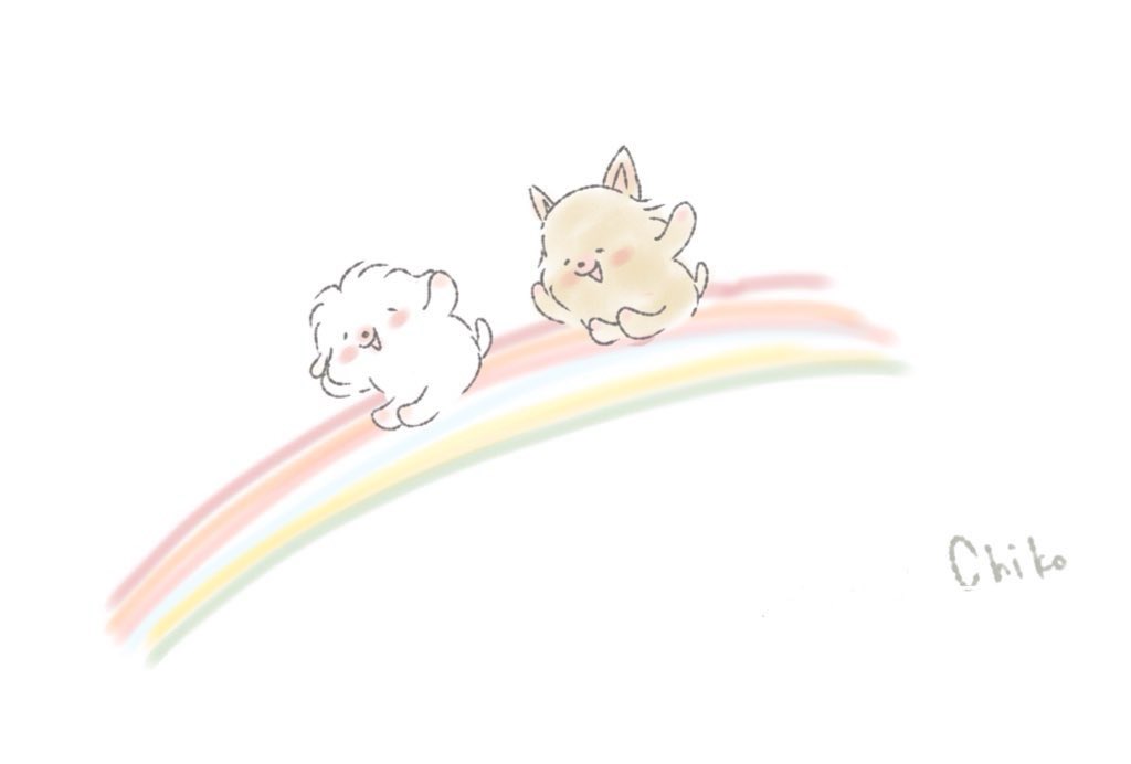 chikomochikosan's tweet photo. ブログを始める時につけた
「ちこちゃんの七色ぽっけ」

小さい時大好きだった歌
「ふしぎなポケット」みたいに
幸せなことがぽんとたたくと次々増えていけばいいな
ちこちゃんとの暮らしが七色の虹のように
色とりどりに幸せなぽっけがいっぱいになりますようにという思いでつけました
 #虹の日 https://t.co/9edsHr79Dp