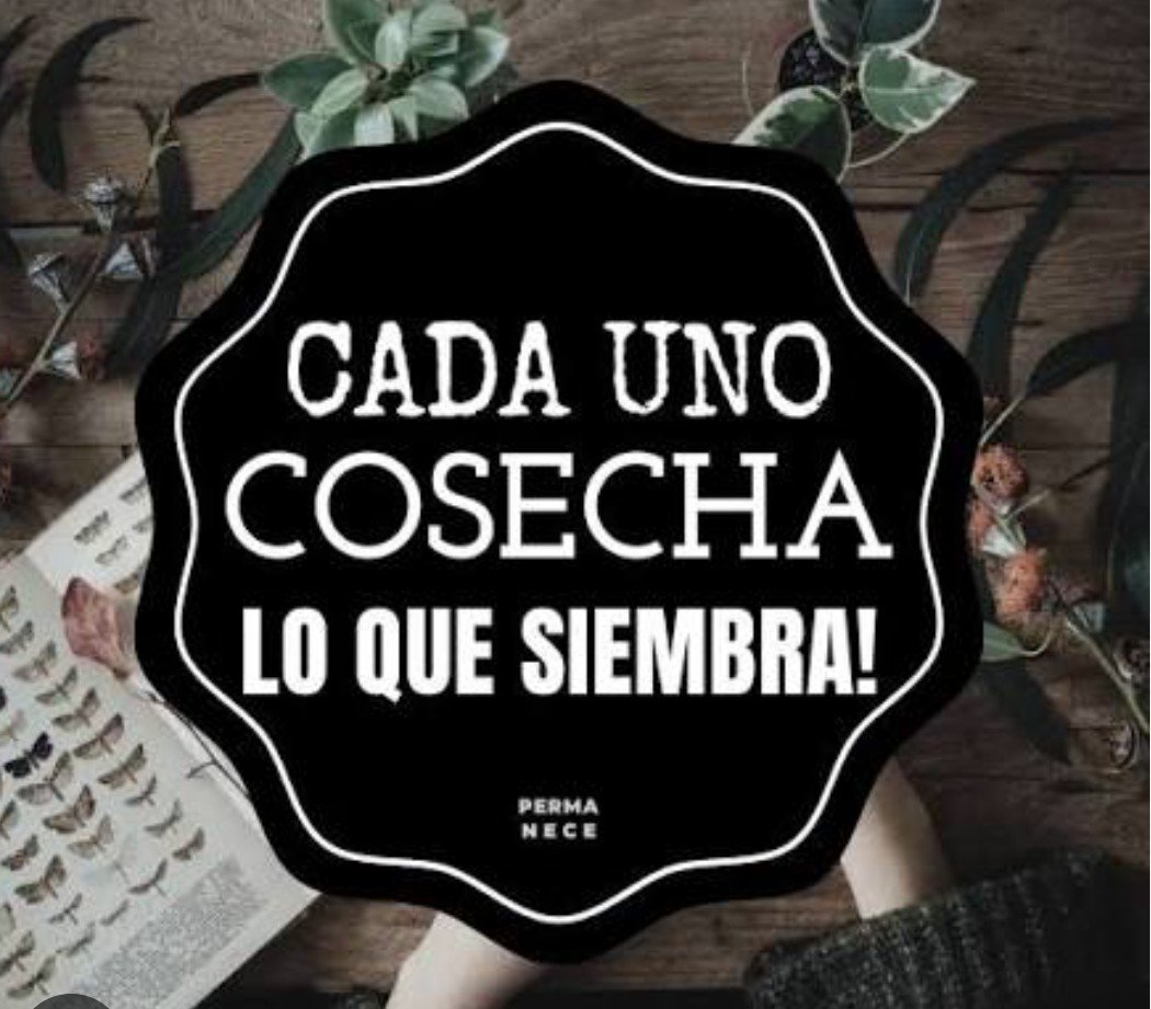 haidy_camargo's tweet photo. @SALVARANM @QuinteroCalle CADA QUIEN RECOGE LO QUE SEMBRÓ
#QuinteroCorrupto https://t.co/pTlPWfqp0t