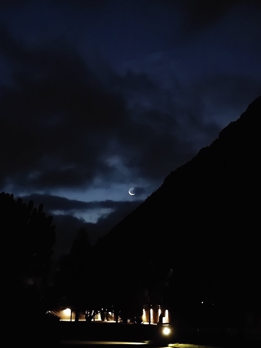 seba_sirius's tweet photo. Miren a quien me encontré hoy! Me saludo y se escondió. 🌘 https://t.co/7psqELBlG1
