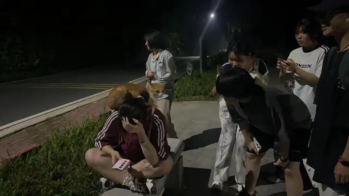 hyunvxs4p1's tweet photo. Street magic at dusk—this old street performer’s card trick had the whole alley pausing, even the stray cat stopped to watch. https://t.co/eDtAhFdDtc