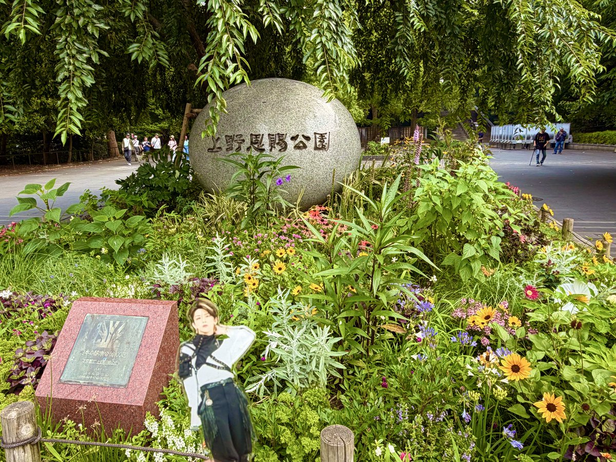 INIMINIWASHI's tweet photo. 大夢くん、上野恩賜公園だよ
東京は都市緑化が進んでて何度来てもいいねえ
美術館と音楽ホールと科学博物館と動物園が同じ敷地にあるの凄すぎ！東京住みたい https://t.co/ZI2vTt0uC5