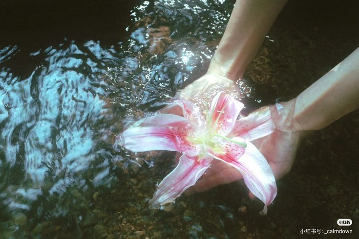 _ameliaairhead's tweet photo. ✿﹒ ・﹐ amelia is moot hunting !! ♪ ﹒
 （◞◟） 🐚﹒→﹒ 17 — ednos ﹒ ⬭ ﹒ ✦ 
🌊 𓇼 ﹒ ⁺ ﹒ 4 months sh clean  ﹒ ⟢ ﹒ —
#edrtwt #edtwt #shedtwt #shedrtwt https://t.co/Rau8cbbI12