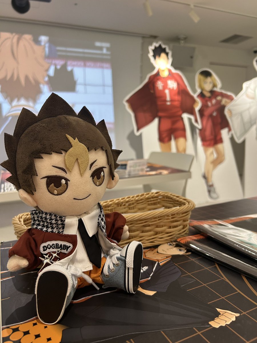 nna74_nivi_'s tweet photo. 買ったぬい服がかわいすぎて実際に着せてみた！！！ https://t.co/o9SaAHo9Mi