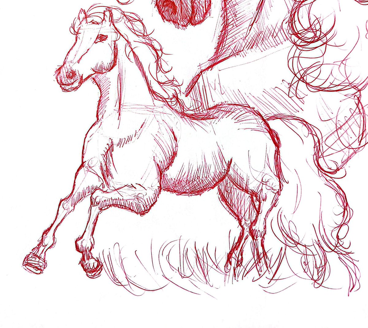 LUXURYA_00's tweet photo. Horse Sketches with pen. It's been a while... How have you been?

#art
#sketches
#doodles
#traditionalartist
#smallartist
#artistsontwitter https://t.co/s058xbv4qS