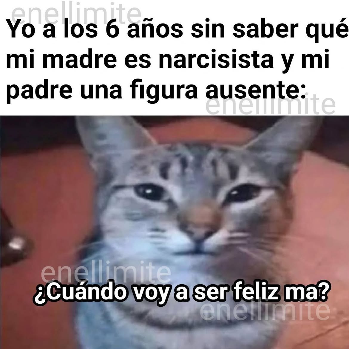 Mega atún tweet media