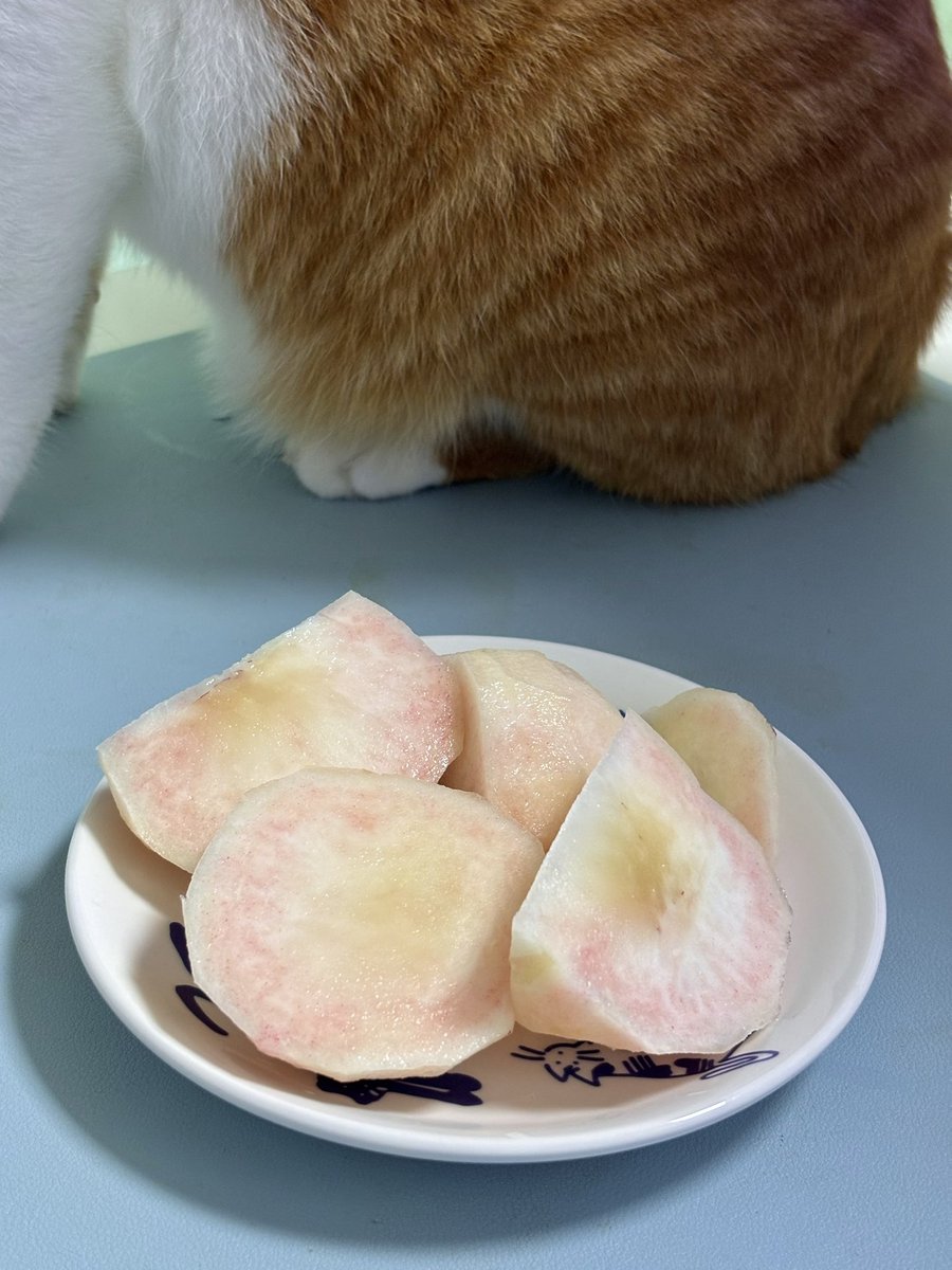 feed_me_Rang's tweet photo. 복숭아 https://t.co/nzIfKzGMkg
