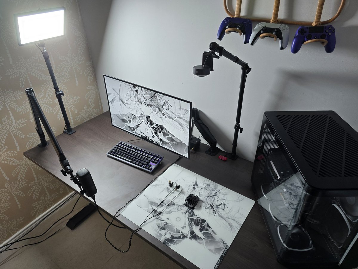 fizzifiedAU's tweet photo. Lost all my personal files and clips due to a corrupt drive, BUT feeling good with my new setup and ready to post more. I am loving this new Ascension Sora SP-005 from @WallhackHQ 😍 https://t.co/9MmW5PwCs8