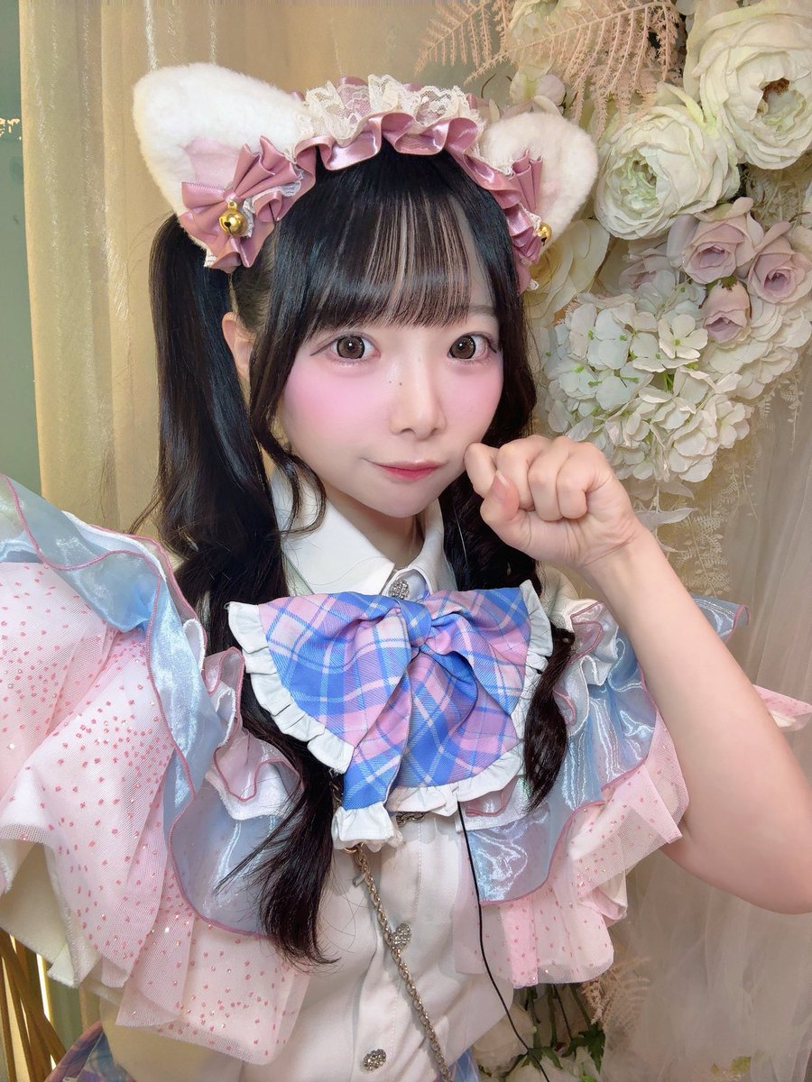 ゆめ　 Post by ゆめ🎀 on X: 🐱