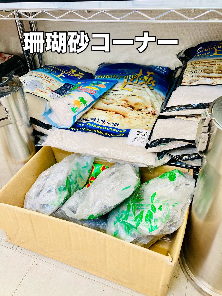 AQUASHOP5's tweet photo. 2kg以上の���床系売り場を整理しました✨
なるべく選択肢は増やしたいので種類は豊富です
ちなみに海水魚は取り扱ってませんが
海水用品は取り扱ってます

#アクアリウム #aquariumhobby #ペットショップ #福岡 #九州 #aquashop #アクアショップ #熱帯魚ショップ https://t.co/vILT5N7NbR