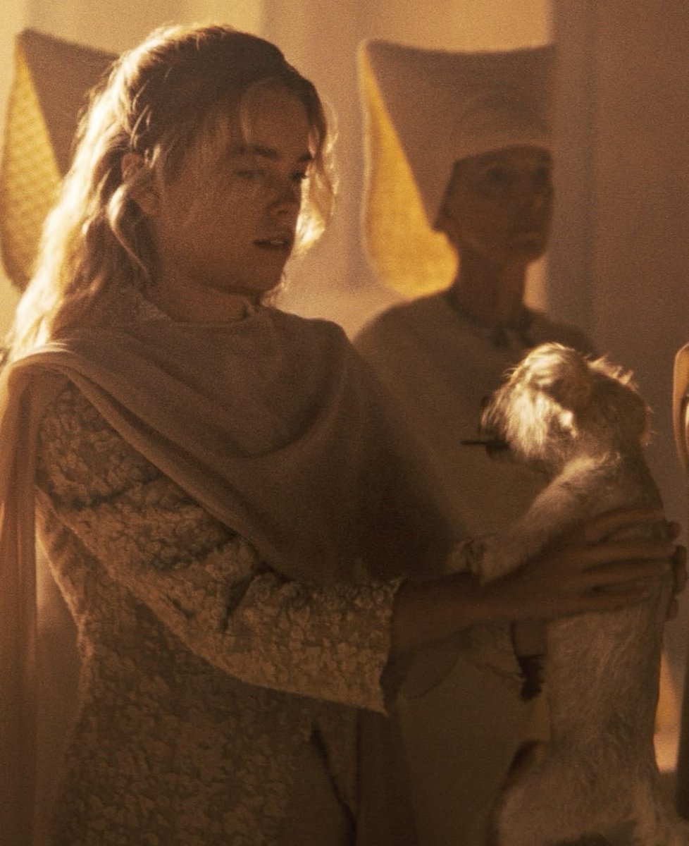 kiernaningscf's tweet photo. “Krypto and I at least had each other. Honestly, I thought we were lucky.” https://t.co/gdZ9mYDv14