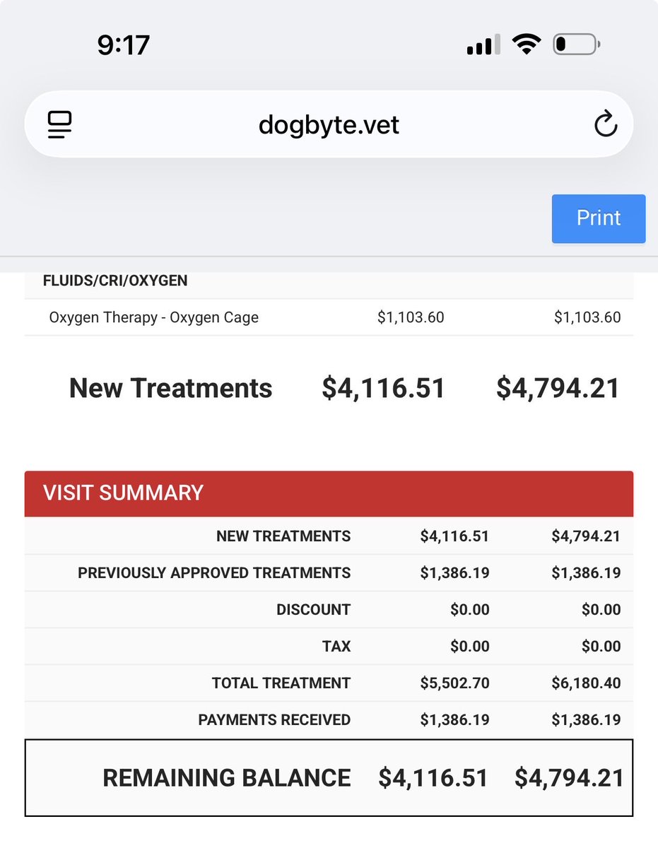 GhostFabled's tweet photo. Hey so I need help please 
My cat is very sick and I can’t afford this … 
Please help if you can if not please share this

https://t.co/AUQ4AkMTKP https://t.co/fa41KTzLqb