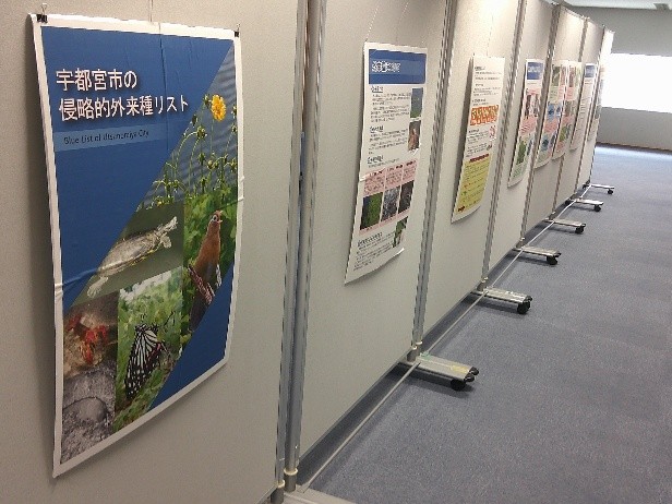 u_biodiversity's tweet photo. 「宇都宮に，こんな生きものがいたんだ！」市内20地点の調査で見つかった植物1,274種，動物2,799種を，写真や地図で楽しく紹介する「うつのみやの自然」パネル展を市民プラザで開催中🍃7月22日まで。
まちなかで，小さな自然探検をしてみませんか？
#宇都宮市 #生物多様性 https://t.co/JnwTXvcngL